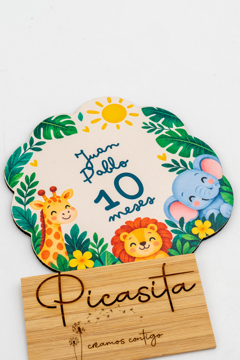 Placa dos meses para bebé em madeira personalizada