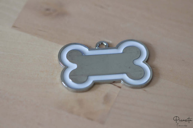 Chapa para Perro de Acero y Borde Color