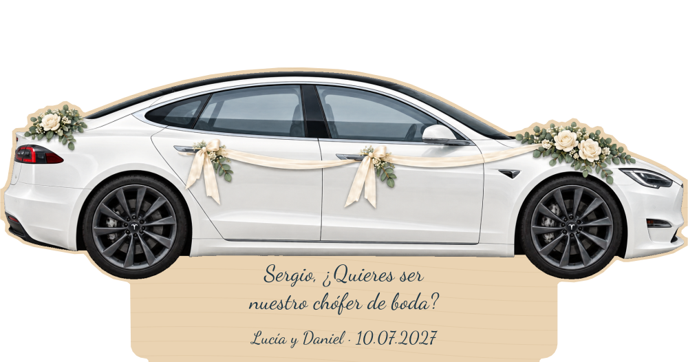 Simulação de placa de contraplacado de 3 mm para motorista de casamento a cores, Tesla Model S, personalizada para Sergio.