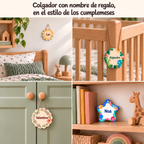 Placas dos meses do bebé em madeira personalizadas