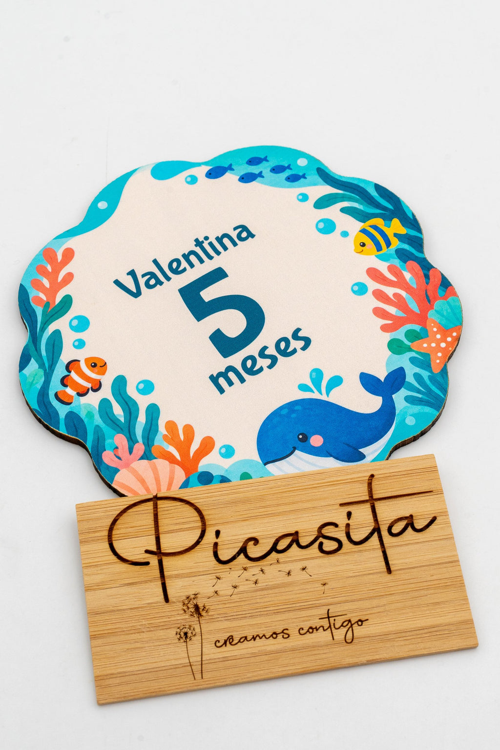 Placas dos meses do bebé em madeira personalizadas