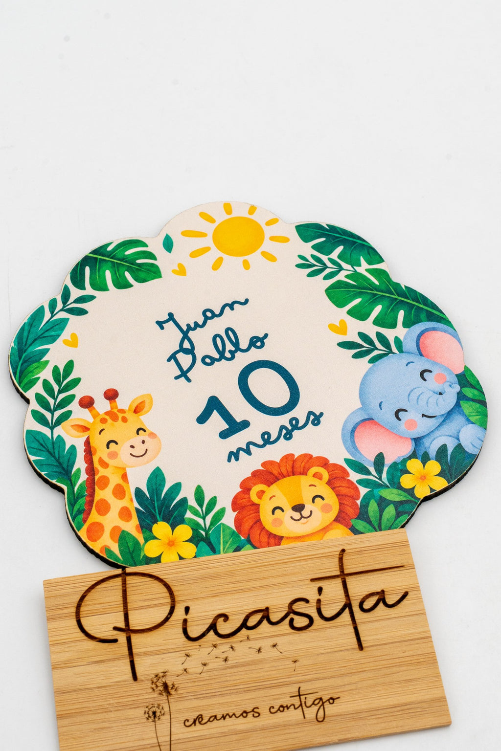 Placas dos meses do bebé em madeira personalizadas