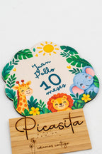 Placas dos meses do bebé em madeira personalizadas
