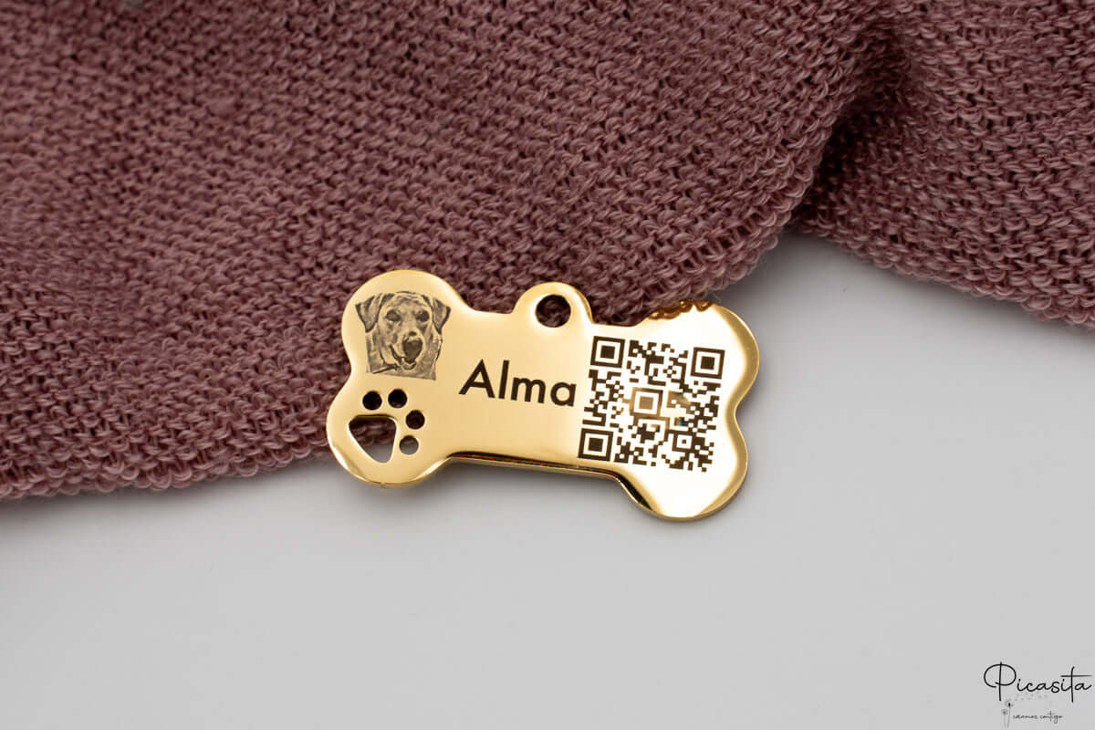 Chapa dorada personalizada para perro con nombre Alma, fotografía grabada y código QR inteligente.