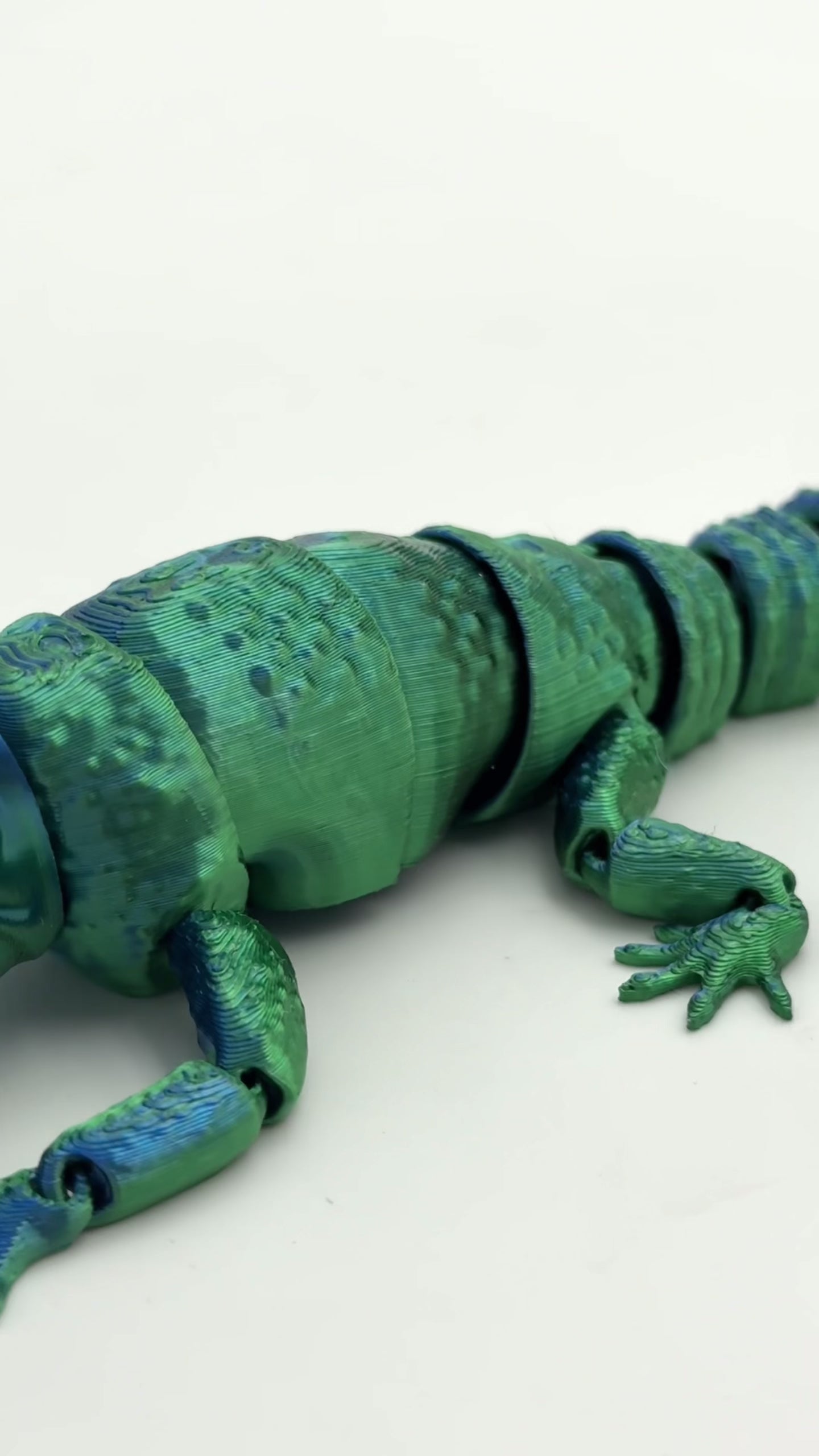 Manta Raya Impressa em 3D