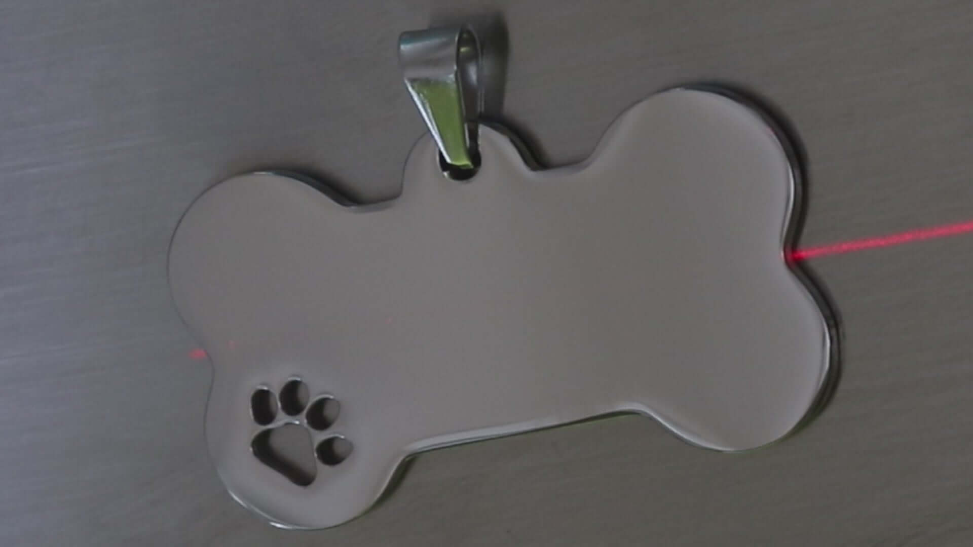 Placa para Cão com QR Inteligente